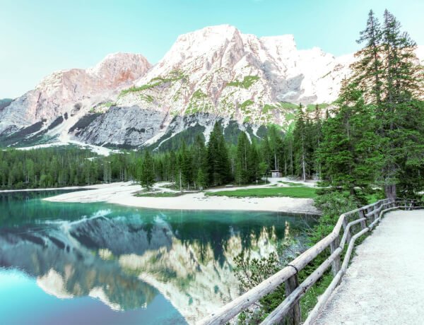 Services Services 02