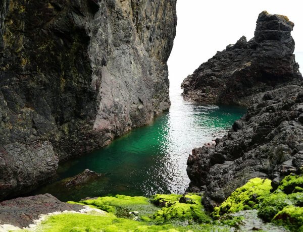 Services Services 04