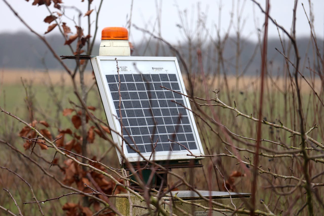 A solar panel surrounded by dry branches in a rural autumn setting, highlighting green technology in nature.